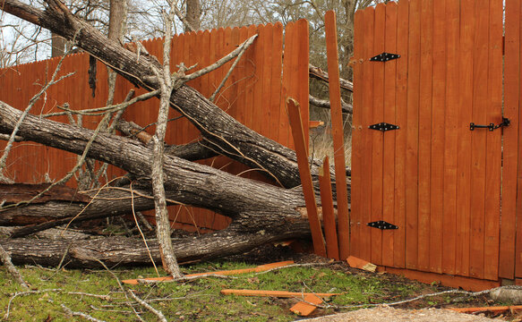 Fence Damaged From Tree Falling During Storm
