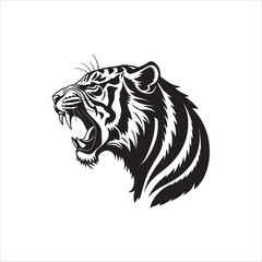 Roaring Tiger Silhouette on White Background
