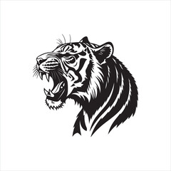 Roaring Tiger Silhouette on White Background