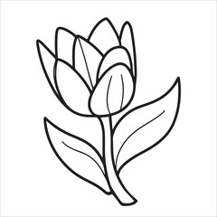 Black and White Tulip flowers vector illustration