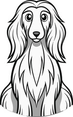 Elegant afghan hound dog vector illustration with detailed outline black and white design