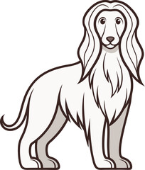 Cartoon illustration of a white afghan hound dog with brown outlines on white background