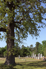 Historic Rucker Cemetery Located outside of Troup TX