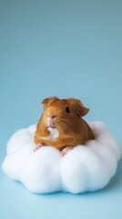 Cute guinea pig resting on soft cotton cloud against a serene blue background, exuding a peaceful ambiance of innocence