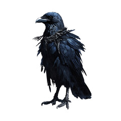 Fototapeta premium majestic black raven stands with its feathers glistening in shades of deep blue. Its sharp beak and piercing eyes convey sense of mystery and intelligence, embodying essence of wild