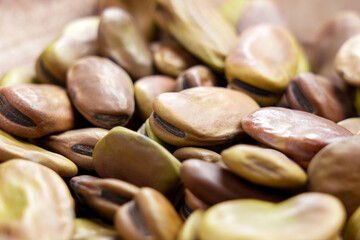 Dried Vicia faba seeds or fava beans. Macro
