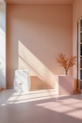Minimalist Peach Interior with Sunlight