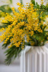 Bright yellow mimosa pudica flowers create a vibrant display in a stylish white vase, celebrating the beauty of nature and the arrival of spring, filling space with freshness and color