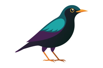 vector illustration of a bird