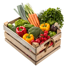 fresh vegetables in a basket