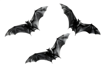 Set of flying black bats isolated on white background PNG