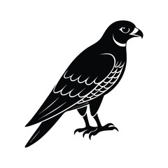 peregrine falcon bird silhouette art illustration