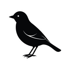 yellow warbler bird silhouette art illustration on white background