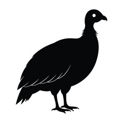 turkey vulture bird silhouette art illustration