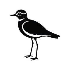 Obraz premium killdeer bird silhouette art illustration
