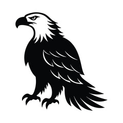 Fototapeta premium bald eagle bird silhouette art illustration