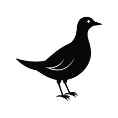 Obraz premium oven bird silhouette art illustration