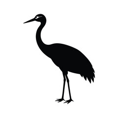 Obraz premium sandhill crane bird silhouette art illustration