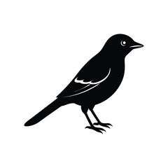 Fototapeta premium northern shrike bird silhouette art illustration