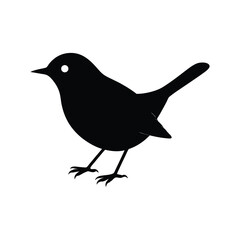 Nashville warbler bird black silhouette art illustration