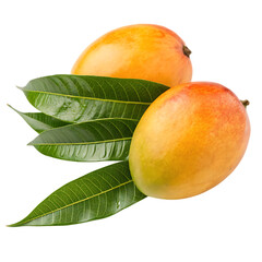 Mango paired with leaves isolated on a transparent background
