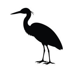 little blue heron bird silhouette art illustration