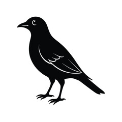 Fototapeta premium merlin bird silhouette art illustration on white background