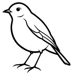 Obraz premium Simple Songbird