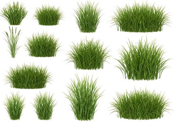 A collection of various green grass tufts isolated on a white background in a studio setting view
