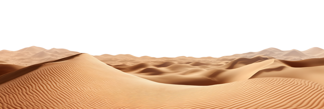 Wide sandy desert landscape isolated on transparent background cutout png