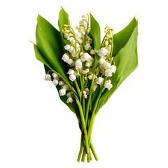 Elegant Lily of the Valley in Blooming White Bouquet
