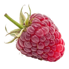 raspberry isolated on white background