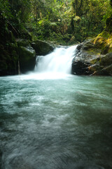Fototapeta premium Serene Waterfall Bogor Flowing in Lush Tropical Forest Natural Oasis Scene