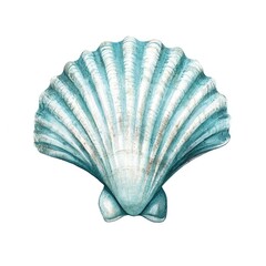 Teal scallop shell, detailed illustration,  lightened edges