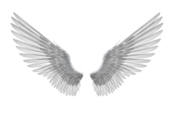 Fototapeta premium A symmetrical illustration of two angel wings with detailed feathers on a plain white background