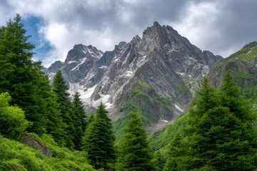 Mountain Peak with Snow and Forest