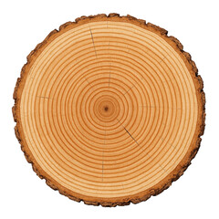 Fototapeta premium Beautifully cut natural wood disc showing intricate annual growth rings, radial lines, and rugged bark texture.