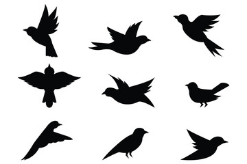 Silhouette Bird Collection Vector Set of Flying and Perched Birds Isolated on White Background
