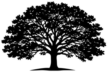 Classic Black Oak Tree Vector © Zahedul