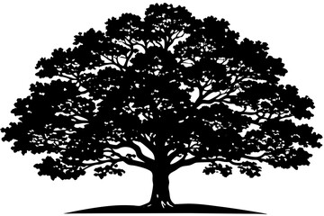 Fototapeta premium Classic Black Oak Tree Vector