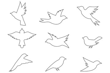 Outline  Bird Collection Vector Set of Flying and Perched Birds Isolated on White Background