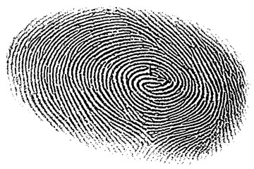 High detail black and white fingerprint clip art on transparent background in vector style