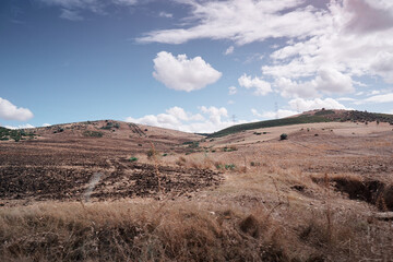 A serene landscape featuring rolling hills, scattered trees, and a distant mountain range under a clear sky at dusk.