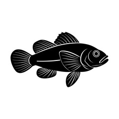 Dottyback Fish Silhouette Illustration