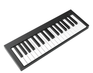 Close-up of a sleek, black piano keyboard with white and black keys