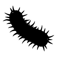 Sea Cucumber Silhouette