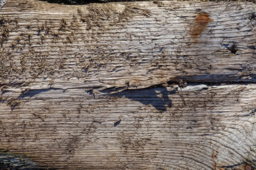 Surface of old cracked coarse dark wooden plank