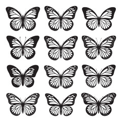 Butterflies silhouette, Vector illustration of butterfly on white background.