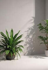 Fototapeta premium Open magazine spread showcasing a customizable backdrop with lifelike plant shadows; ideal for editorial design projects , green, design