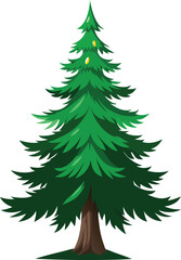 Spruce tree Vector 